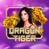 jlpub live casino Dragon Tiger